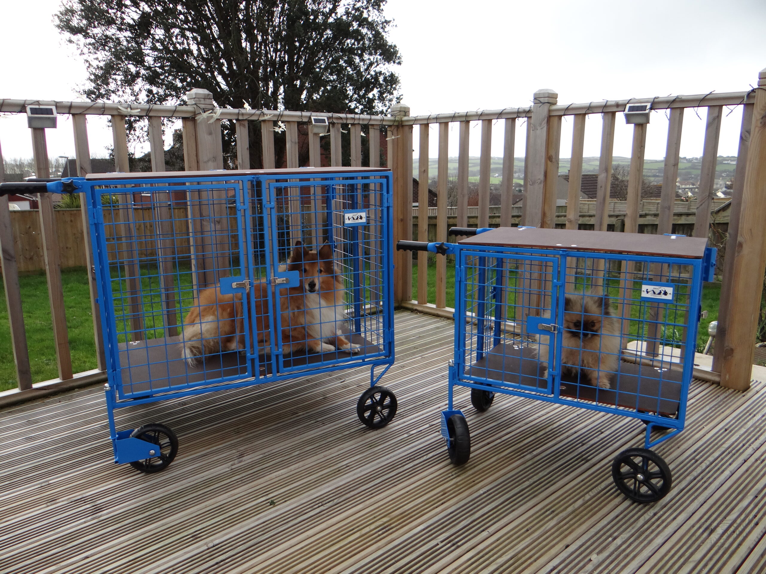 Bespoke BritishCrafted Pet Cages Scott K9 Cages Cornwall