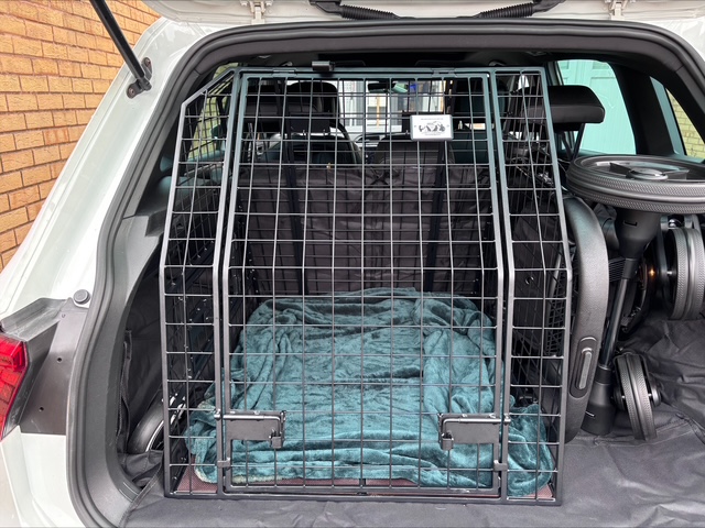 processed-04ED1978-1BF9-4981-970F-1F643DE404D6